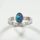 The Nova Ring