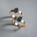 The Nova Ring