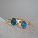 The Nova Ring