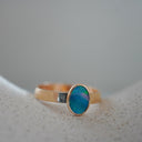 The Nova Ring