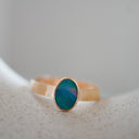 The Nova Ring